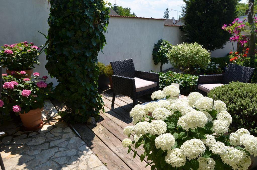 Gaestezimmer Klinger-Tongisch Apetlon Bagian luar foto