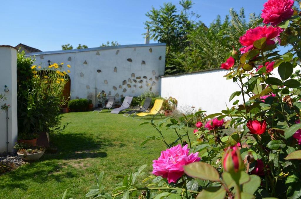 Gaestezimmer Klinger-Tongisch Apetlon Bagian luar foto
