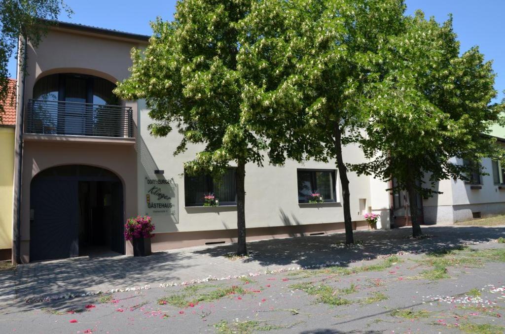 Gaestezimmer Klinger-Tongisch Apetlon Bagian luar foto